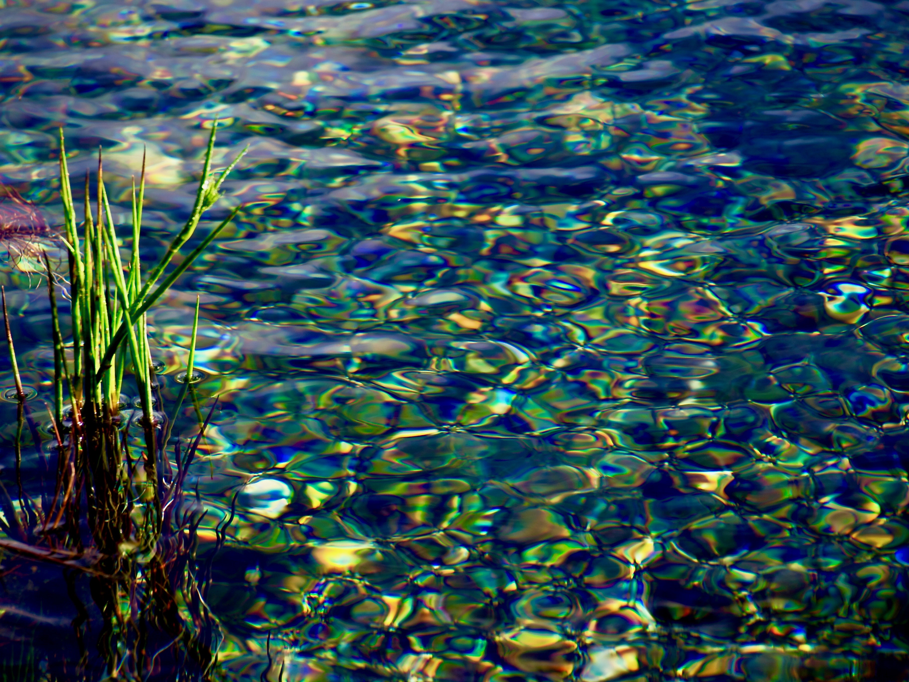 Waikorupupu Springs*GoldenBay*Sdinsel*Neuseeland, © Brigitta Kerbel